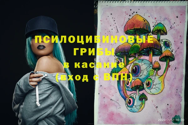 ECSTASY Аркадак