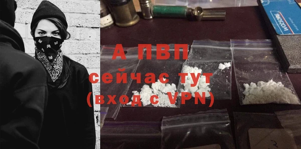 ГАЛЛЮЦИНОГЕННЫЕ ГРИБЫ Покров