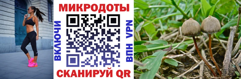 наркошоп  Краснослободск  Галлюциногенные грибы GOLDEN TEACHER 